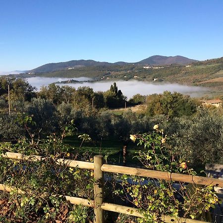 Agriturismo Poggio Al Sole 호텔 피에솔레 외부 사진