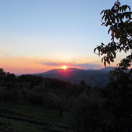 Agriturismo Poggio Al Sole 호텔 피에솔레 외부 사진