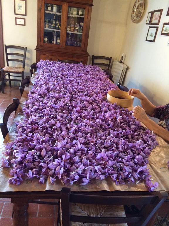Agriturismo Poggio Al Sole 호텔 피에솔레 외부 사진